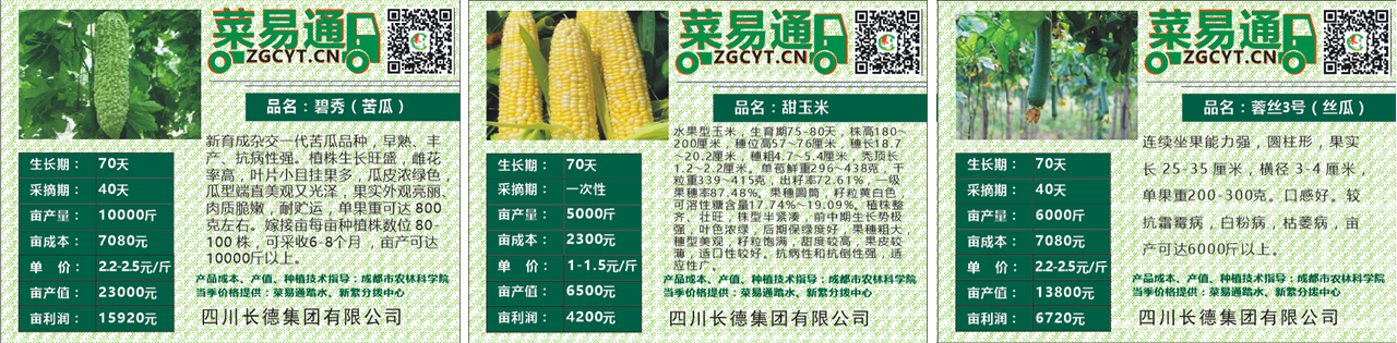 人生就是搏投资集团